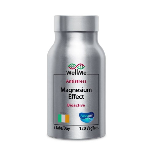 WellMe Magnesium 120 tabl 330 mg