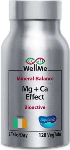 WellMe Mg + Ca 120 tabl